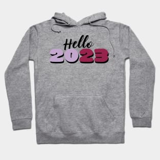 Hello 2023 Hoodie